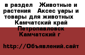  в раздел : Животные и растения » Аксесcуары и товары для животных . Камчатский край,Петропавловск-Камчатский г.